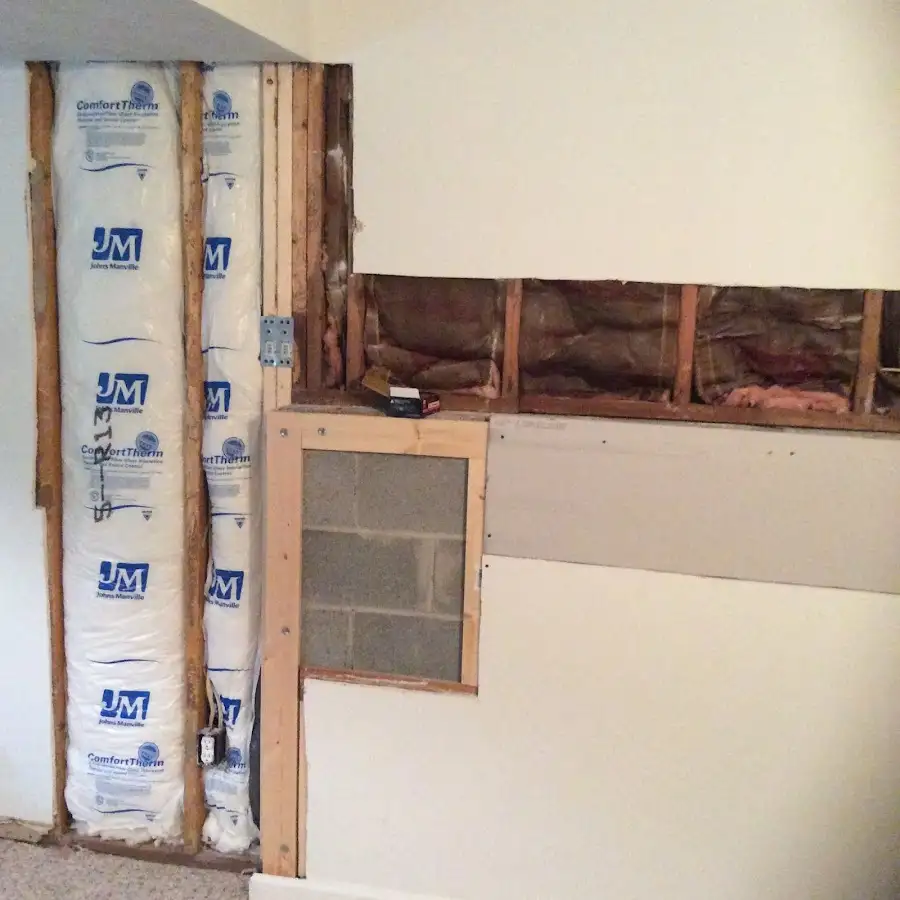 Wall insulation replacement during Odor Removal & Deodorization in Tecumseh